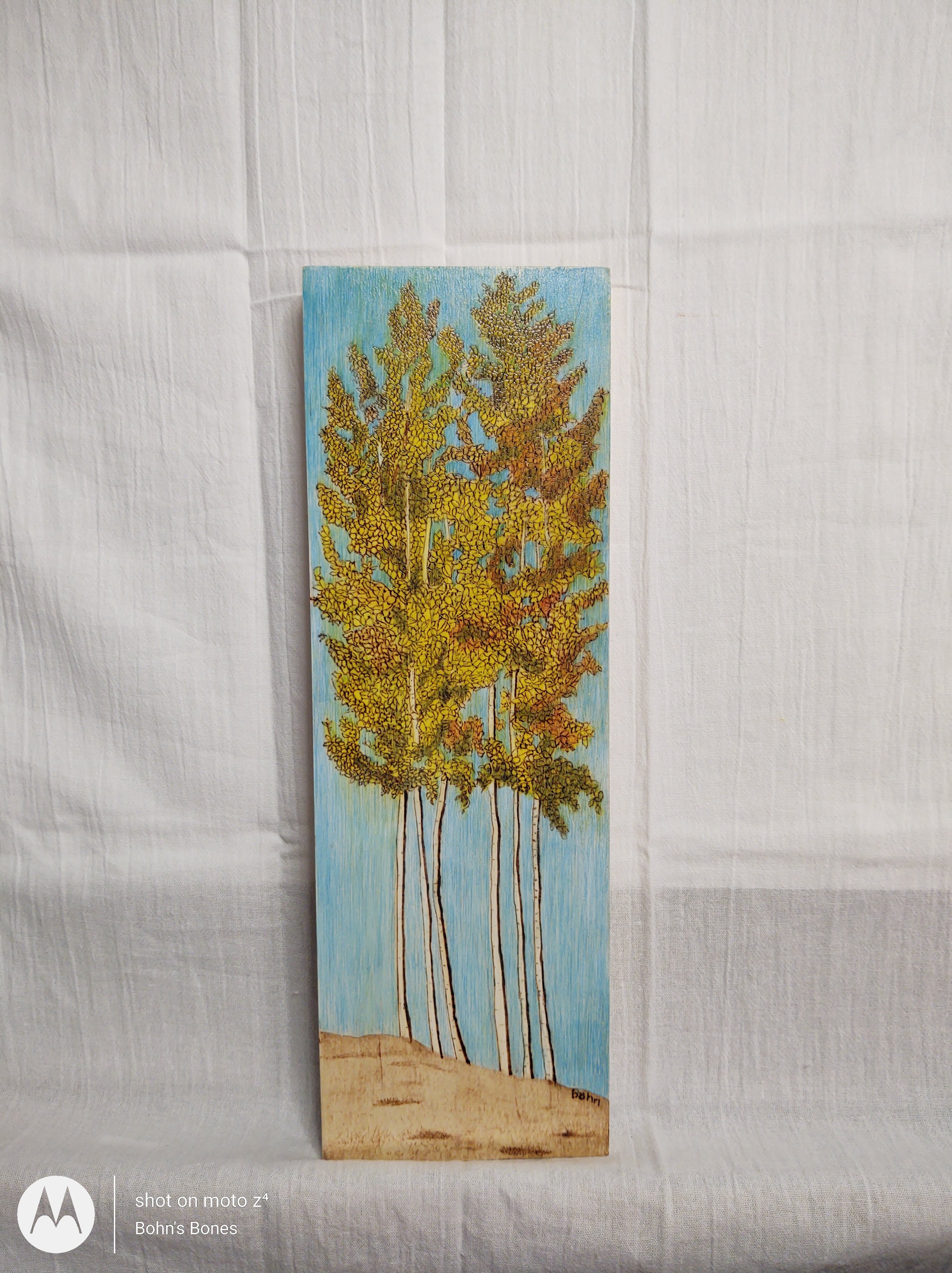 Pyrographic Art – Bohn's Bones Arts, LLC